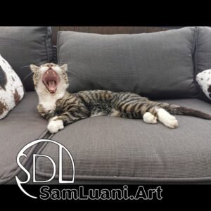 SDL20200515144202 | Leo the Yawning Lion | 2