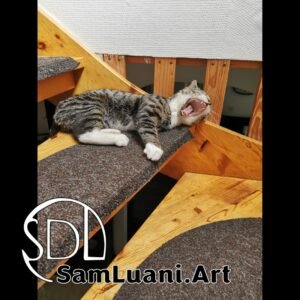 SDL20200630084031 | Leo the Yawning Lion