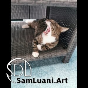 SDL202009231603 | Leo the Yawning Lion