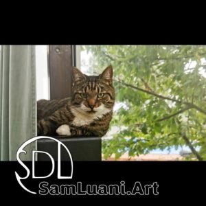 SDL202308251904 | Leo the Prince