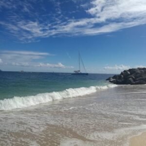 SDL20161104142506 | Florida