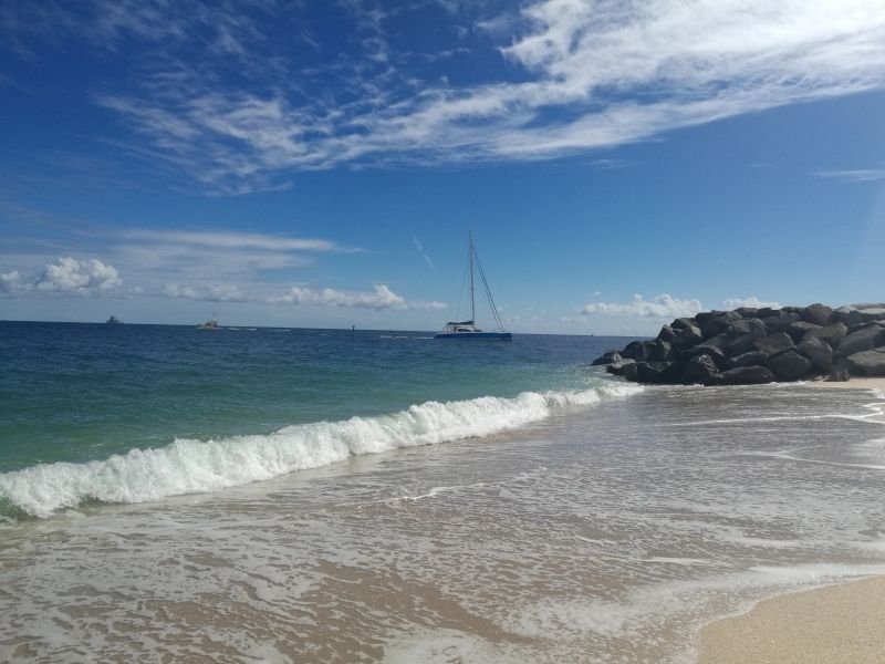 SDL20161104142506 | Florida | Story