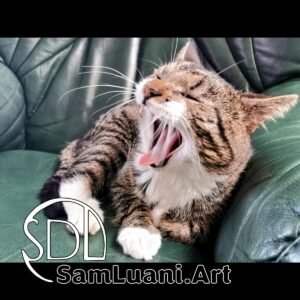 SDL20210318 | Leo the Yawning Lion