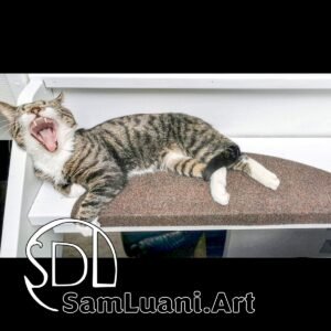 SDL20210528 | Leo the Yawning Lion