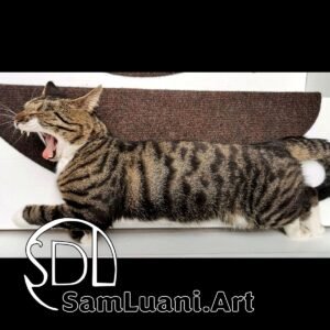 SDL20210604 | Leo the Yawning Lion