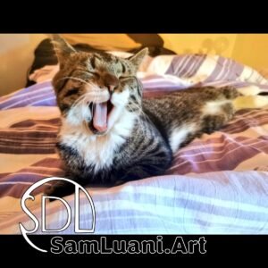 SDL20210713 | Leo the Yawning Lion