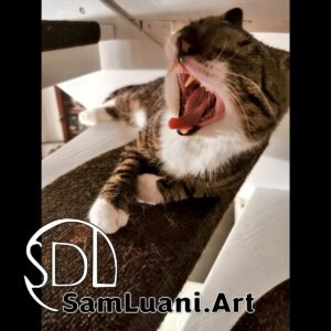 SDL20210817 | Leo the Yawning Lion