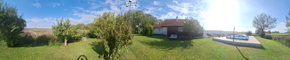 Sunny garden with trees and pool.