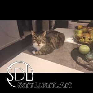 SDL20251020194507 | Leo’s Yawning Masterclass 4