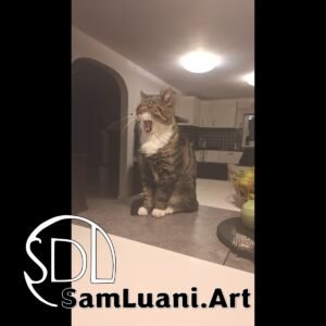 SDL20251020194609 | Leo’s Yawning Masterclass 6