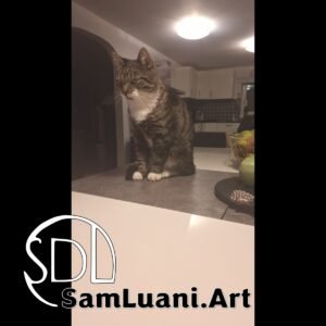 SDL20251020194634 | Leo’s Yawning Masterclass 7