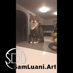 SDL20251020194637 | Leo’s Yawning Masterclass 8