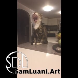 SDL20251020194641 | Leo’s Yawning Masterclass 9